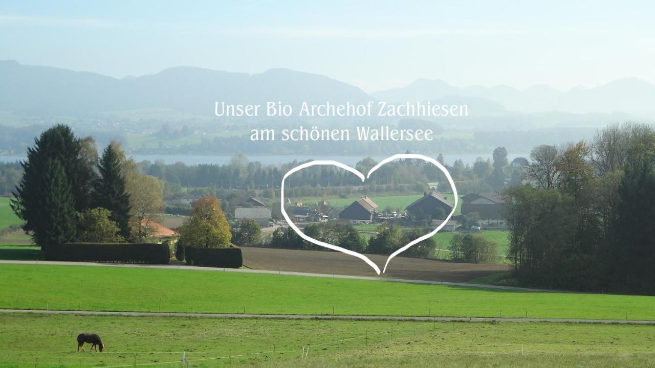 Bio Archehof Zachhiesen Leilighet Seekirchen am Wallersee Eksteriør bilde